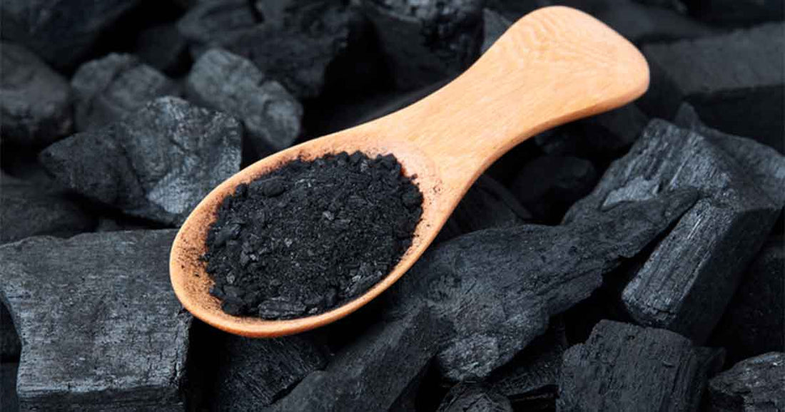 Activated Charcoal for Stomach Viruses