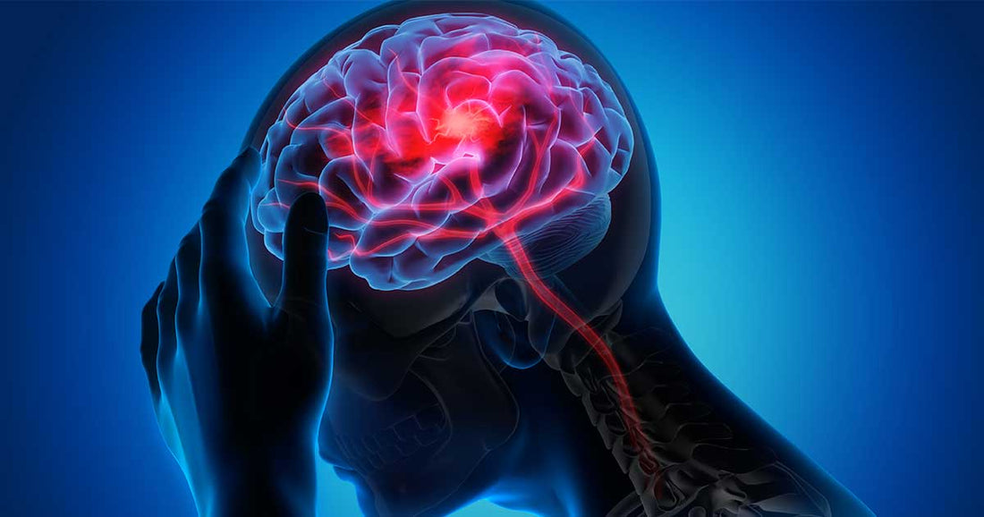 Advanced Approach to Safe Heavy Metal Detox for Neurological Health