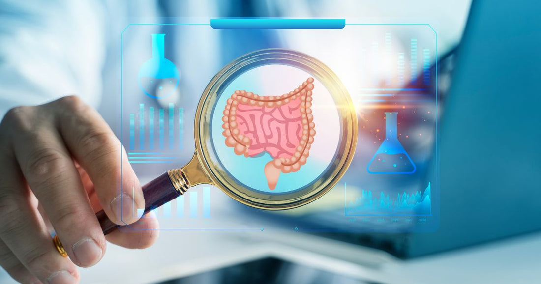Digestive Clarity: Restoring Balance and Detoxification in the Gut Environment