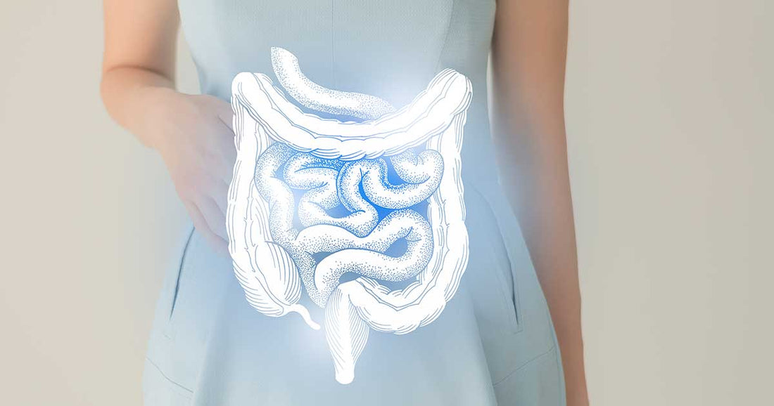 Heavy Metal Toxicity and Gut Health: A Surprising Connection