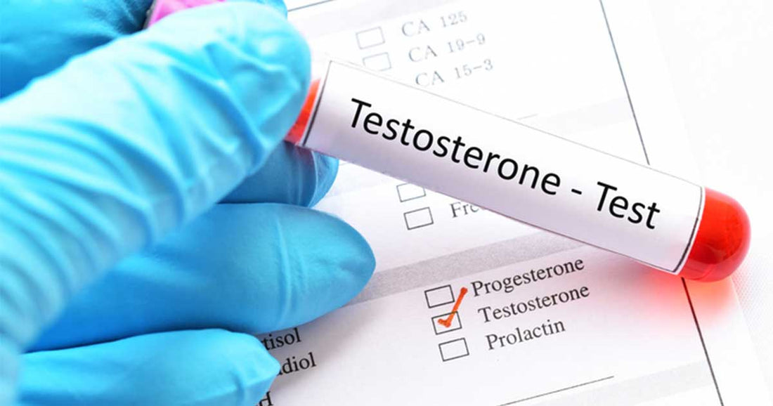 Detoxification and Men's Hormones