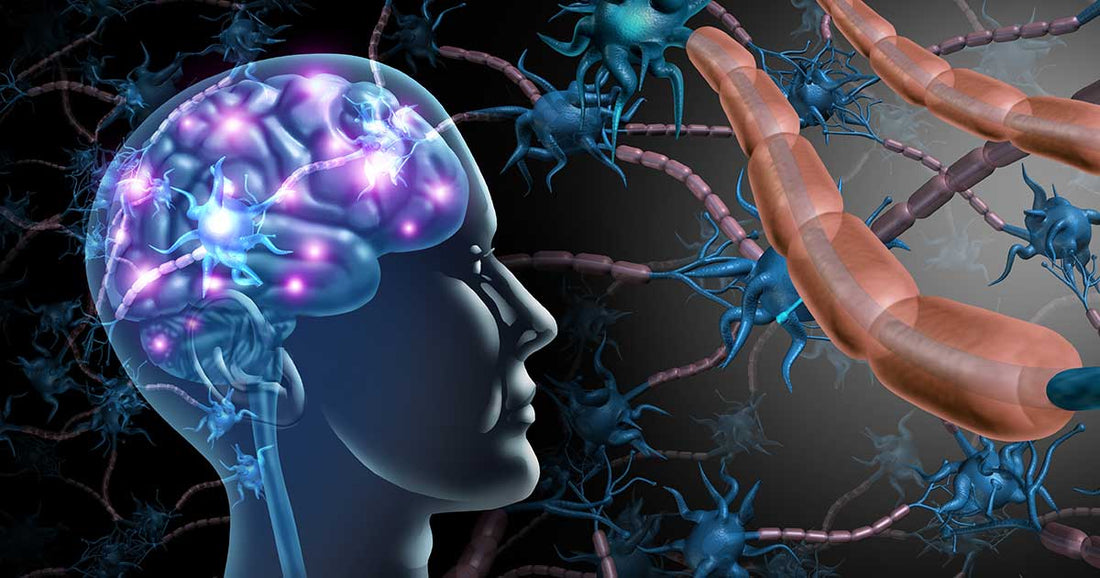 Neurological Health and Heavy Metals: A Safe Approach to Detoxification for Improved Cognitive Function