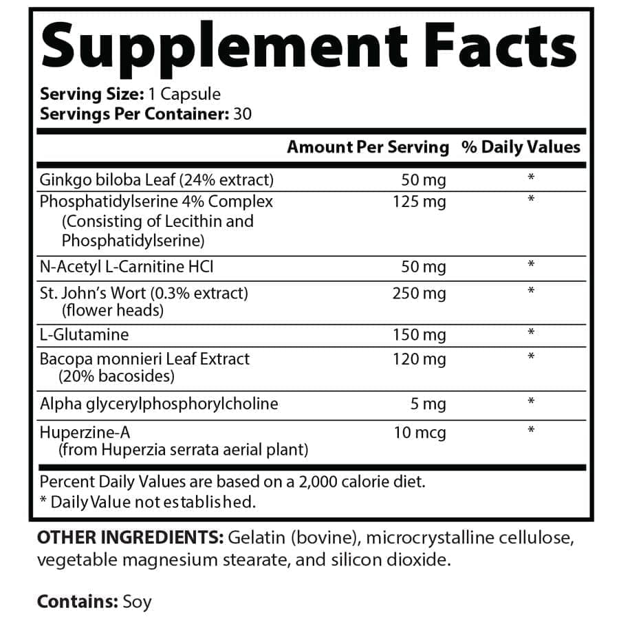 Focus and Memory Support*